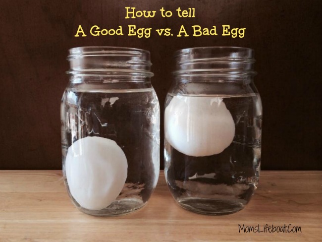 How to Tell if An Egg is Good or Bad